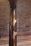 Rickenbacker 4001/4 BT, Walnut: Neck - Rear