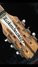Rickenbacker 360/12 , Mapleglo: Headstock