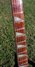 Rickenbacker 360/6 VP, Jetglo: Neck - Front