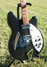 Rickenbacker 360/6 VP, Jetglo: Close up - Free