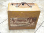 Rickenbacker M-88/amp Ace, Two tone brown: Headstock