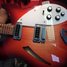 Rickenbacker 330/6 , Fireglo: Body - Front