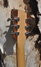 Rickenbacker 650/6 Dakota, Natural Walnut: Headstock - Rear