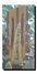 Rickenbacker 360/12 , Mapleglo: Headstock