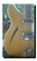 Rickenbacker 360/12 , Mapleglo: Free image
