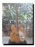 Rickenbacker 360/12 , Mapleglo: Full Instrument - Front
