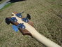 Rickenbacker 4003/4 S, Walnut: Headstock - Rear