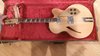 Rickenbacker 360/6 F, Mapleglo: Full Instrument - Front