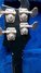 Rickenbacker 4001/4 , Jetglo: Headstock - Rear