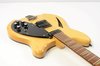 Rickenbacker 360/6 BH BT, Mapleglo: Free image
