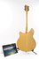 Rickenbacker 360/6 BH BT, Mapleglo: Full Instrument - Rear