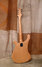 Rickenbacker 480/6 , Mapleglo: Full Instrument - Rear