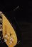 Rickenbacker 325/6 C58, Jetglo: Free image2