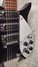 Rickenbacker 325/6 C64, Jetglo: Free image