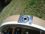 Rickenbacker 660/6 , Mapleglo: Free image2