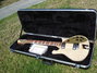 Rickenbacker 660/6 , Mapleglo: Full Instrument - Front