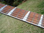 Rickenbacker 660/6 , Mapleglo: Neck - Front