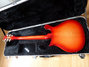 Rickenbacker 620/12 Mod, Fireglo: Full Instrument - Rear