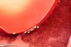 Rickenbacker 4003/4 S, Fireglo: Close up - Free