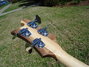 Rickenbacker 4003/4 S, Walnut: Headstock - Rear