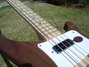 Rickenbacker 4003/4 S, Walnut: Neck - Front