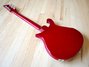 Rickenbacker 660/6 Mod, Ruby: Neck - Rear