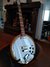 Rickenbacker 6000/5 Bantar, Mapleglo: Full Instrument - Front