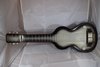 Rickenbacker 59/6 LapSteel, Gray: Close up - Free2