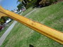 Rickenbacker 4001/4 FL, Mapleglo: Neck - Rear