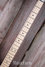 Rickenbacker 4003/4 S, Walnut: Neck - Front