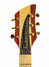 Rickenbacker 650/6 Excalibur, Natural Walnut: Headstock
