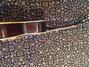 Rickenbacker SP/6 Wood body, Two tone brown: Free image