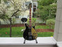 Rickenbacker 660/6 , Jetglo: Full Instrument - Front