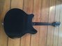 Rickenbacker 360/6 Mod, Jetglo: Full Instrument - Rear