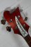 Rickenbacker 4003/4 , Fireglo: Headstock