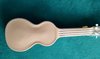 Rickenbacker BD/6 LapSteel, Brown: Full Instrument - Rear