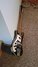 Rickenbacker 4001/4 , Jetglo: Free image