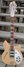 Rickenbacker 370/12 , Mapleglo: Full Instrument - Front