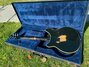 Rickenbacker 360/6 Mod, Jetglo: Full Instrument - Rear