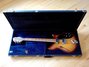 Rickenbacker 360/12 BT, Walnut: Free image2