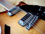 Rickenbacker 360/12 BT, Walnut: Close up - Free2