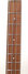 Rickenbacker 4004/4 Cii, Trans Blue: Neck - Front