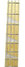 Rickenbacker 4003/4 , Natural Walnut: Neck - Front