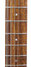 Rickenbacker 330/12 , Mapleglo: Neck - Front