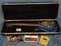 Rickenbacker 660/12 , Blueburst: Free image2