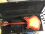 Rickenbacker 366/12 Refin, Fireglo: Full Instrument - Rear