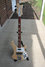Rickenbacker 4003/4 , Mapleglo: Full Instrument - Front