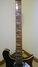 Rickenbacker 620/12 , Ruby: Neck - Front