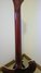 Rickenbacker 620/12 , Ruby: Neck - Rear