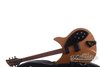Rickenbacker 330/6 BH BT, Mapleglo: Free image